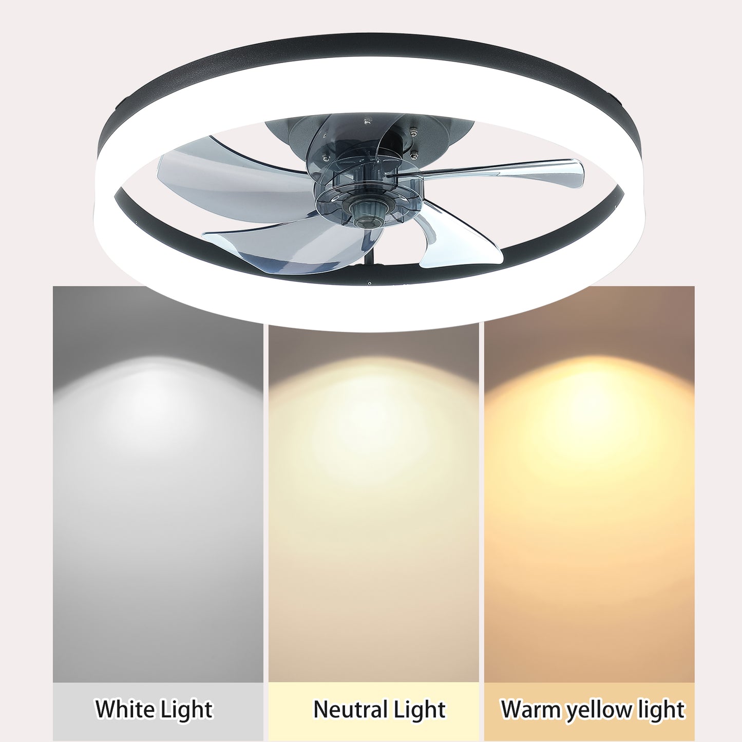 Modern Ceiling Fan with Adjustable LED Lights