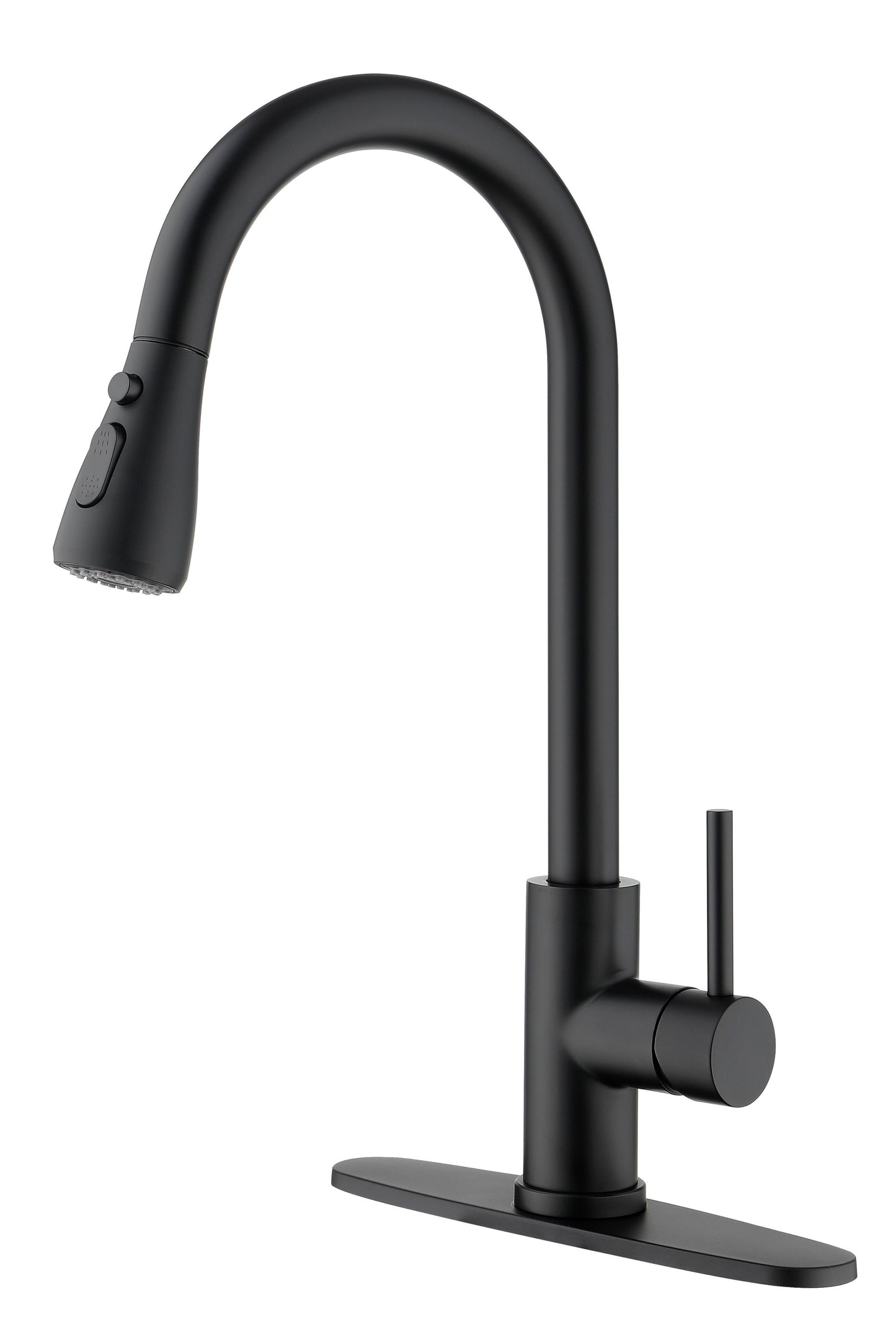 Kitchen Faucet with Pull Out Spraye