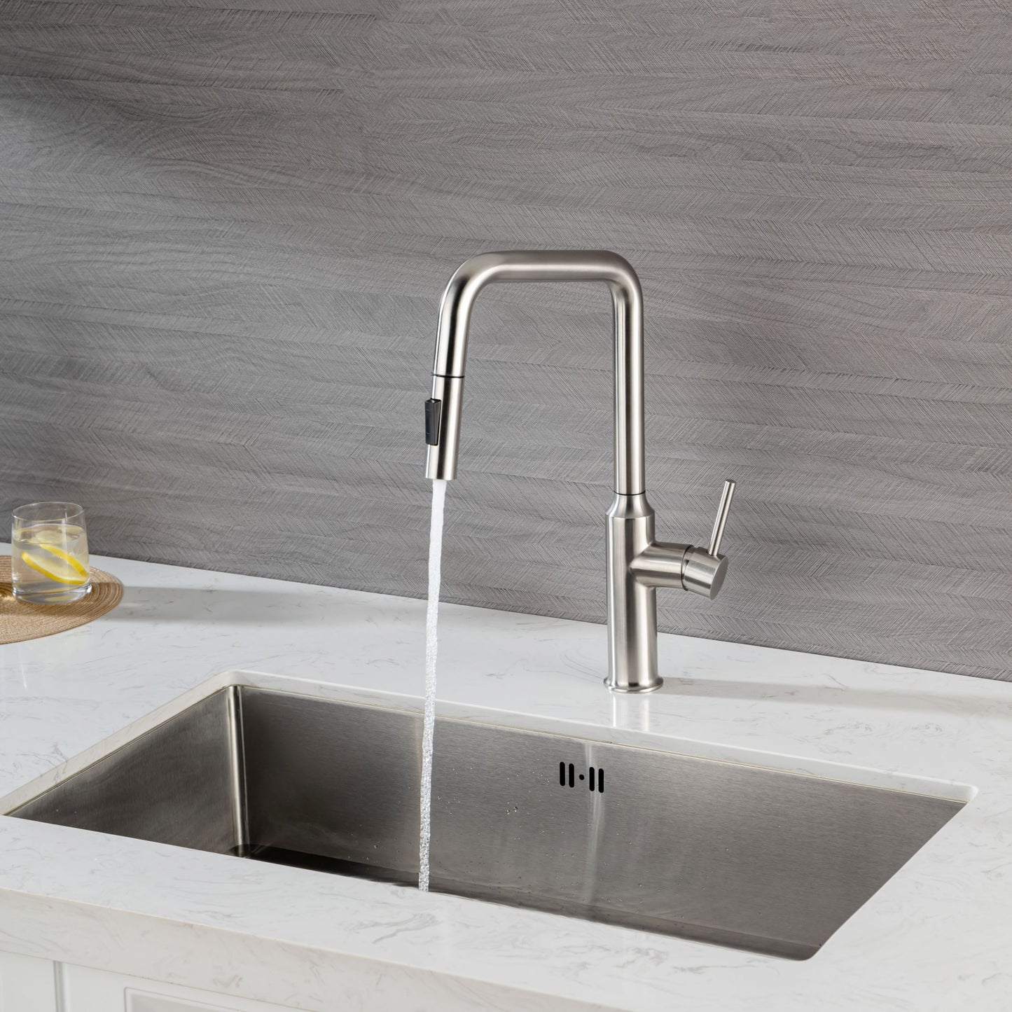 Rainlex Pull Down Kitchen Faucet