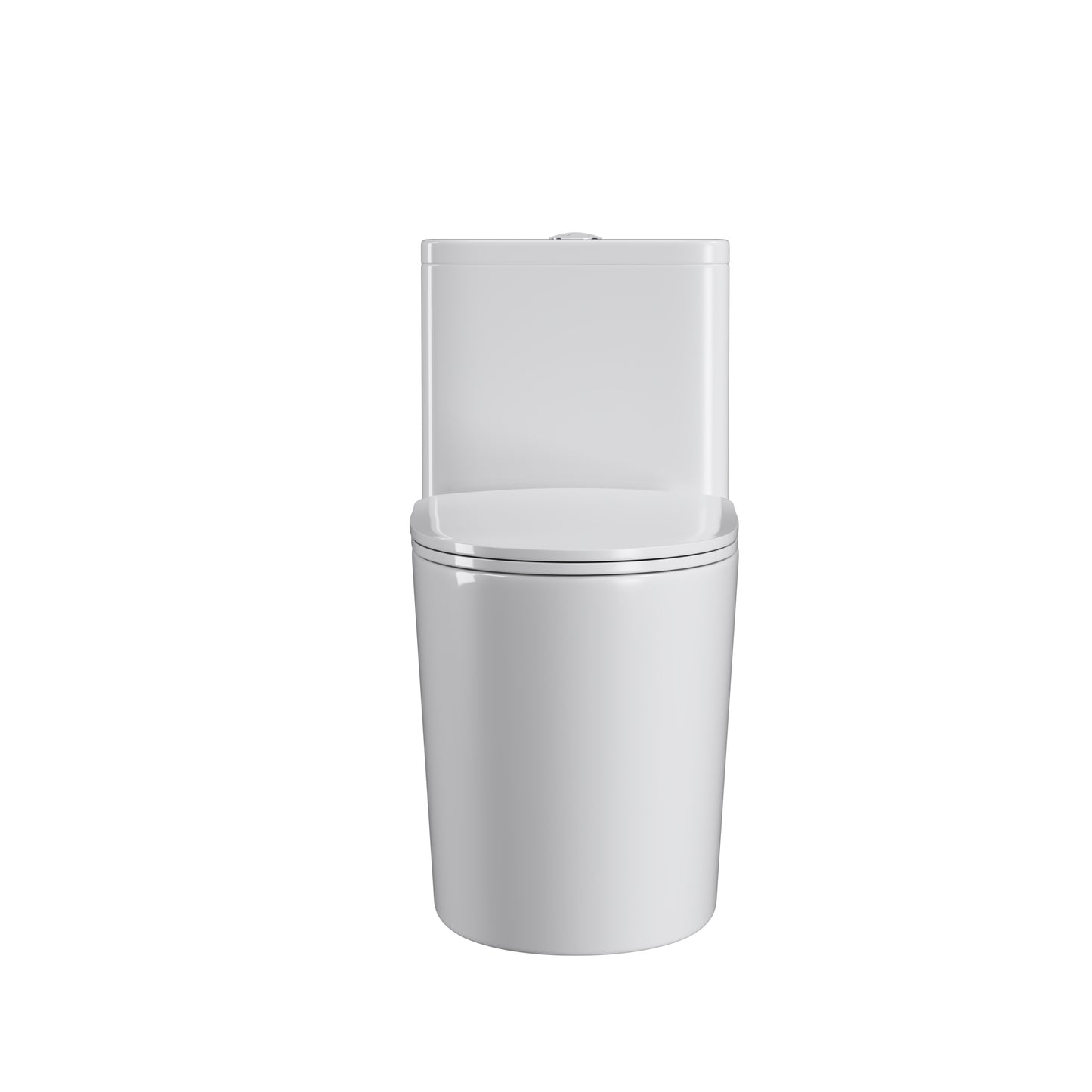 One Piece Dual Flush Elongated Toilet