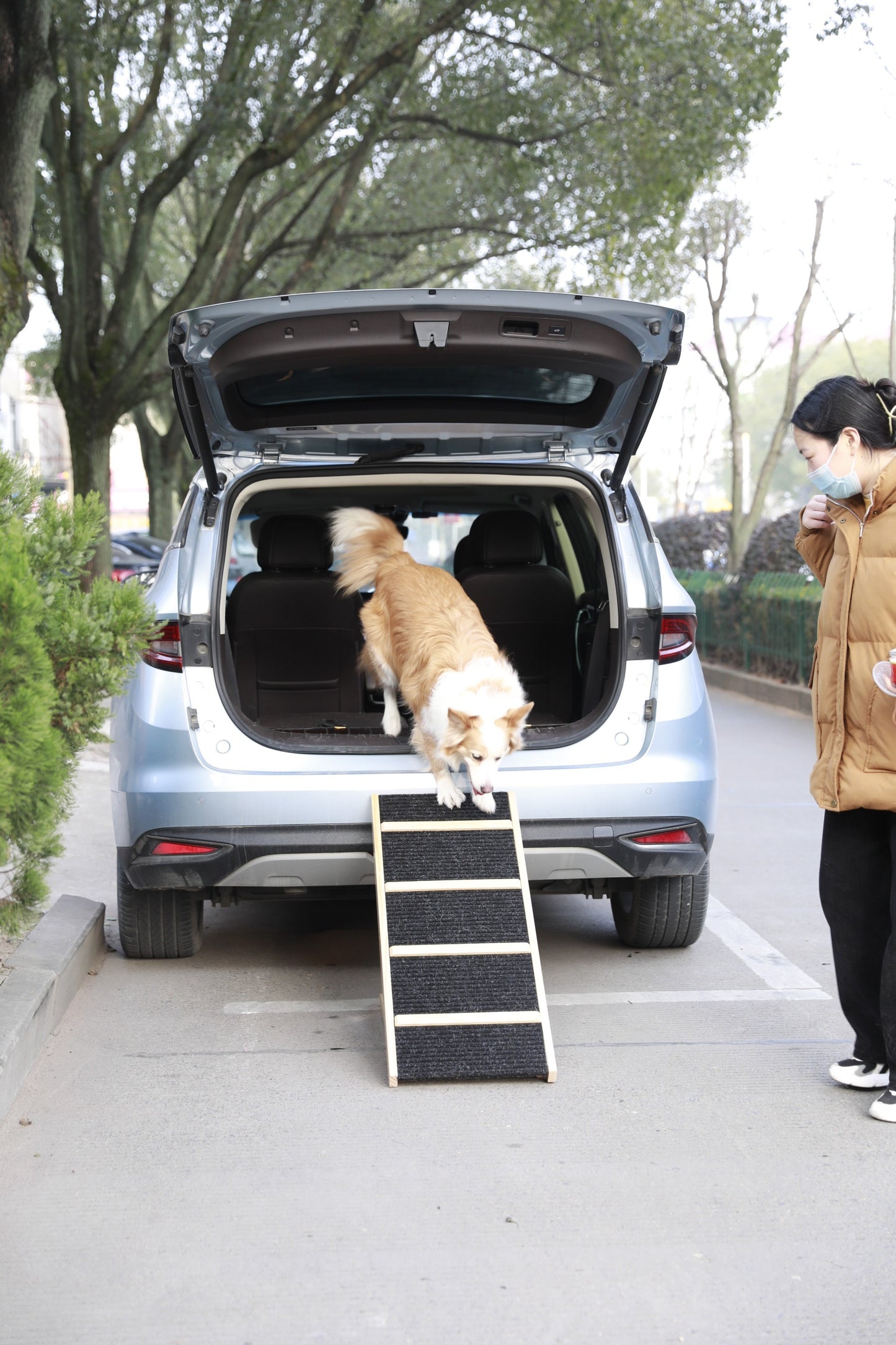 Tall Adjustable Pet Ramp, Folding Portable Wooden Dog Cat Ramp, Non-Slip Paw Traction Surface Dog Step for Car, SUV, Bed, Couch, Adjustable Height from 9.3" to 24"