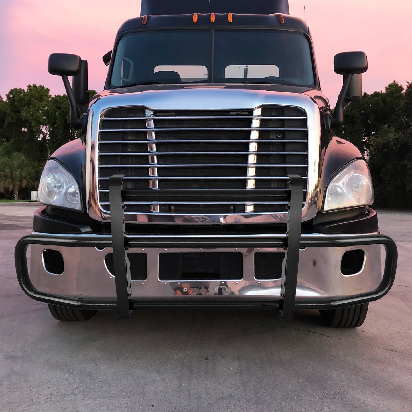 Deer Guard with Brackets for Freightliner Cascadia 2008-2017