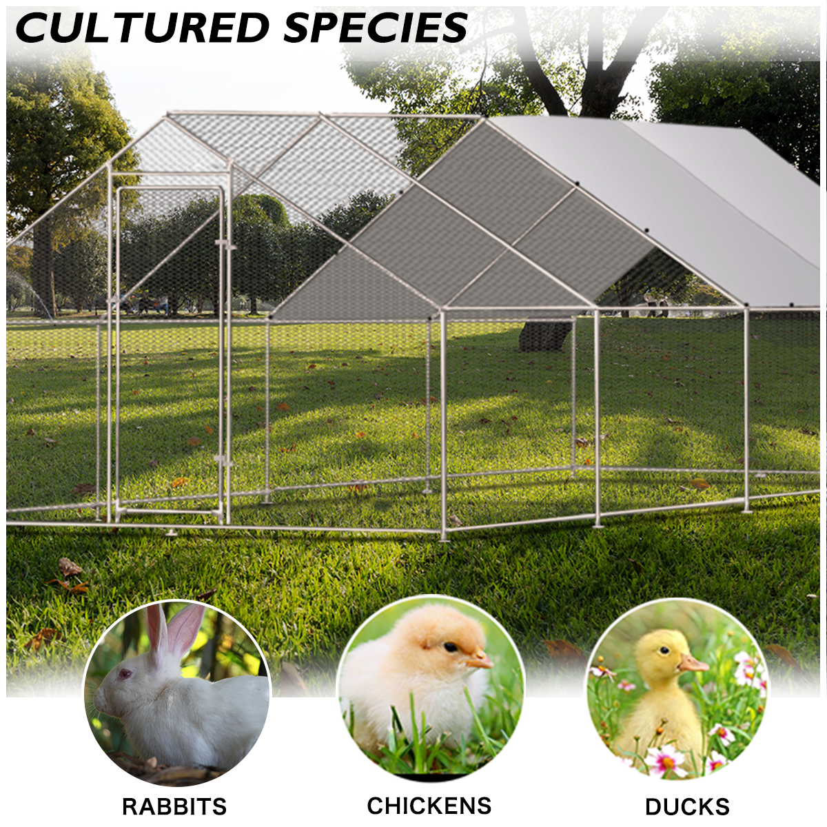 Metal Large Chicken Coop Walk-in Poultry Cage Large Chicken Run Spire Shaped Cage with Waterproof Anti-UltravioletCover, 1.26" Diameter Tube (9.8' L x 26.2' W x 6.4' H)