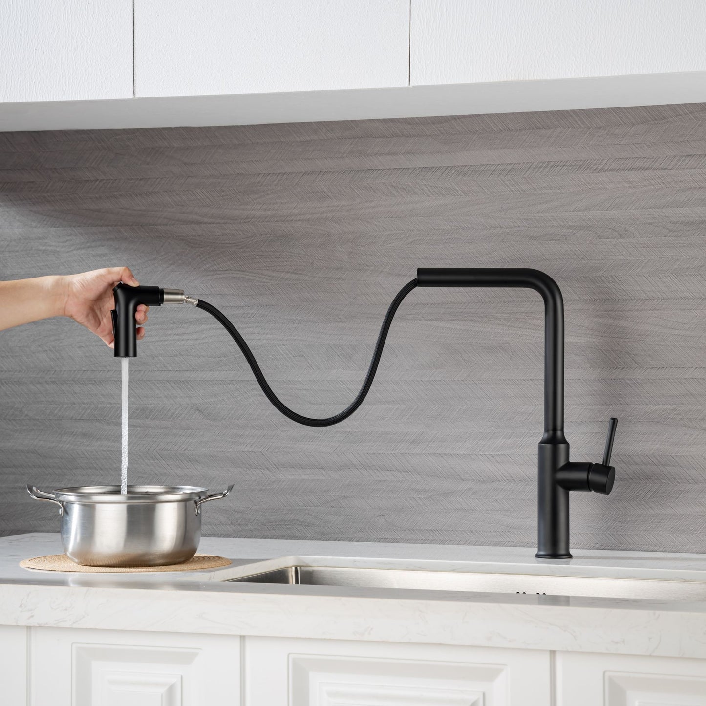 Rainlex Kitchen Faucet