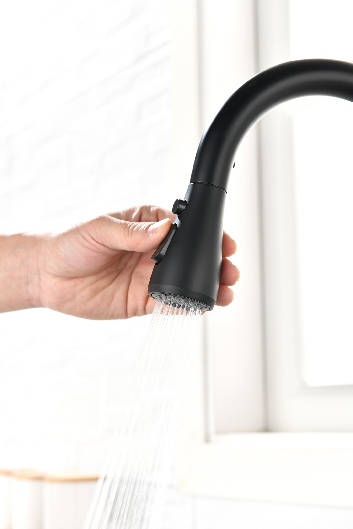 Kitchen Faucet with Pull Out Spraye