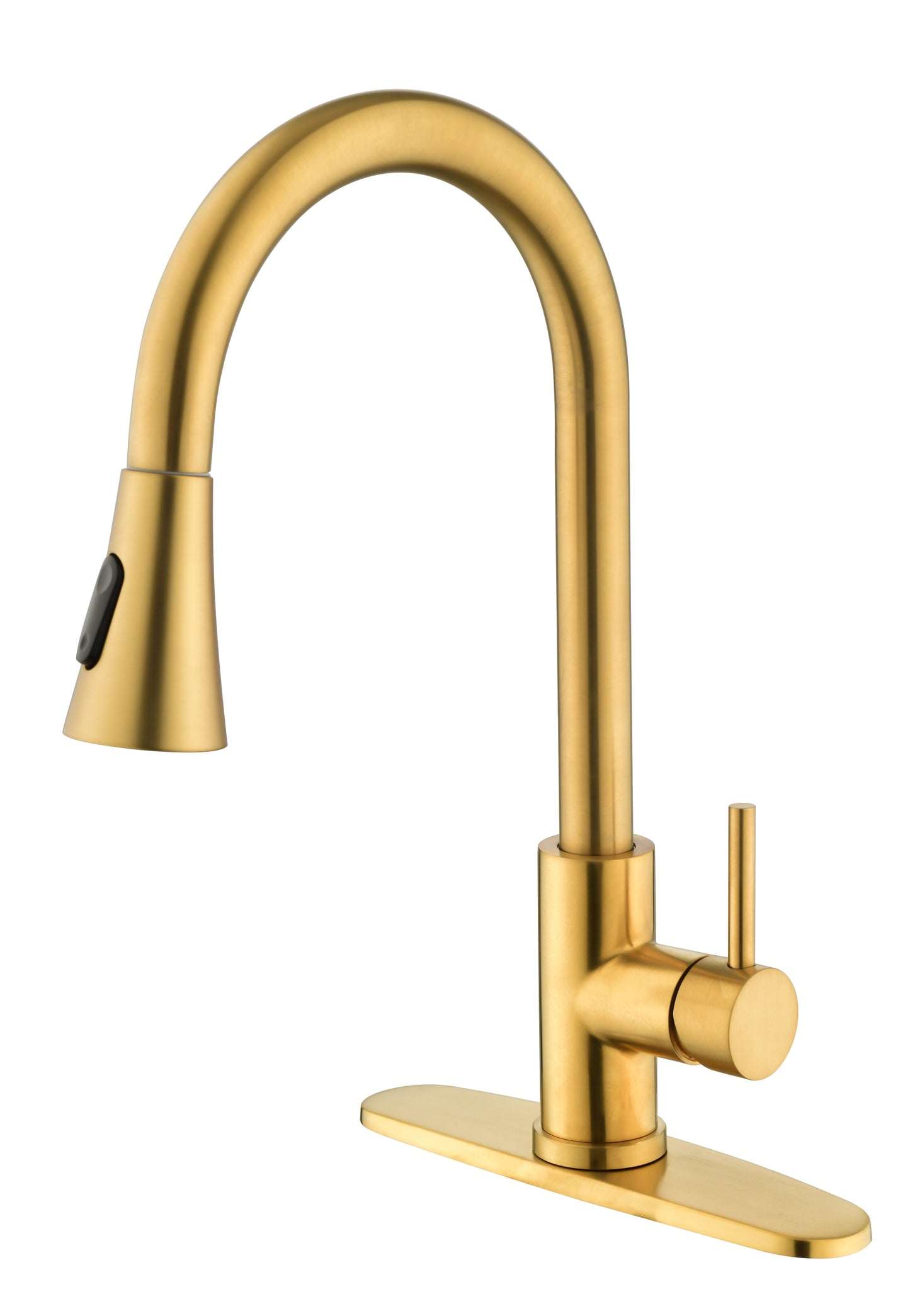 Kitchen Faucet with Pull Out Spraye