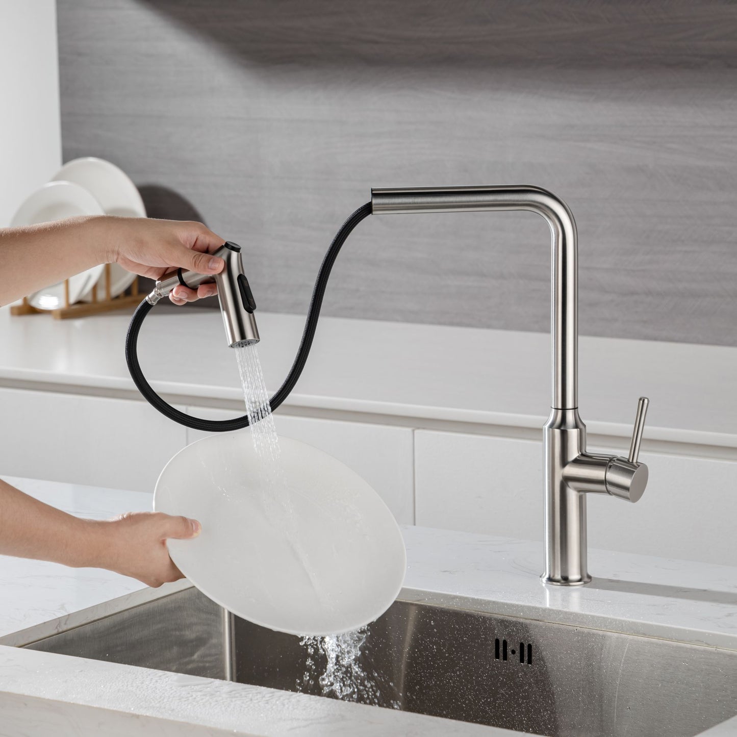 Rainlex Kitchen Faucet