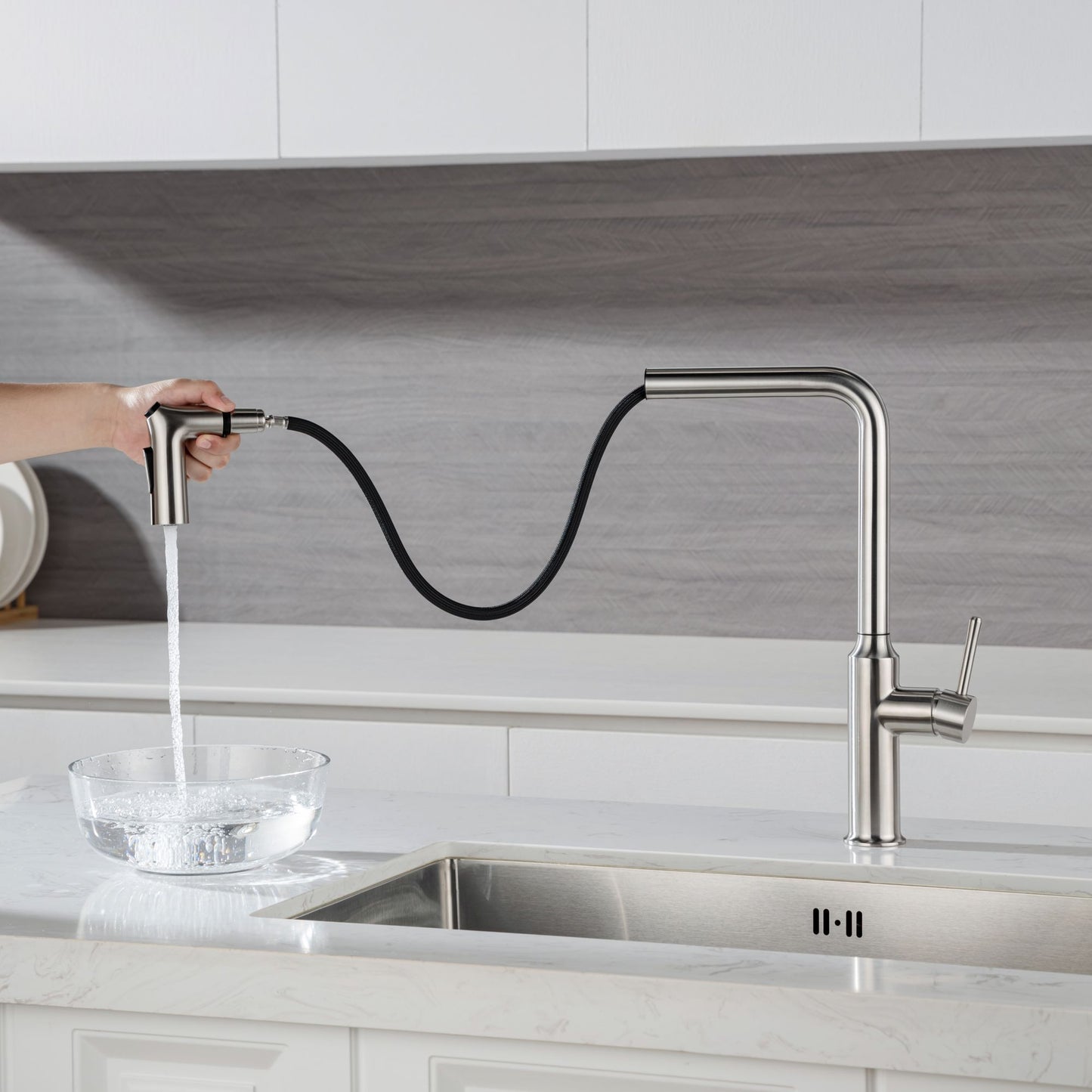 Rainlex Kitchen Faucet