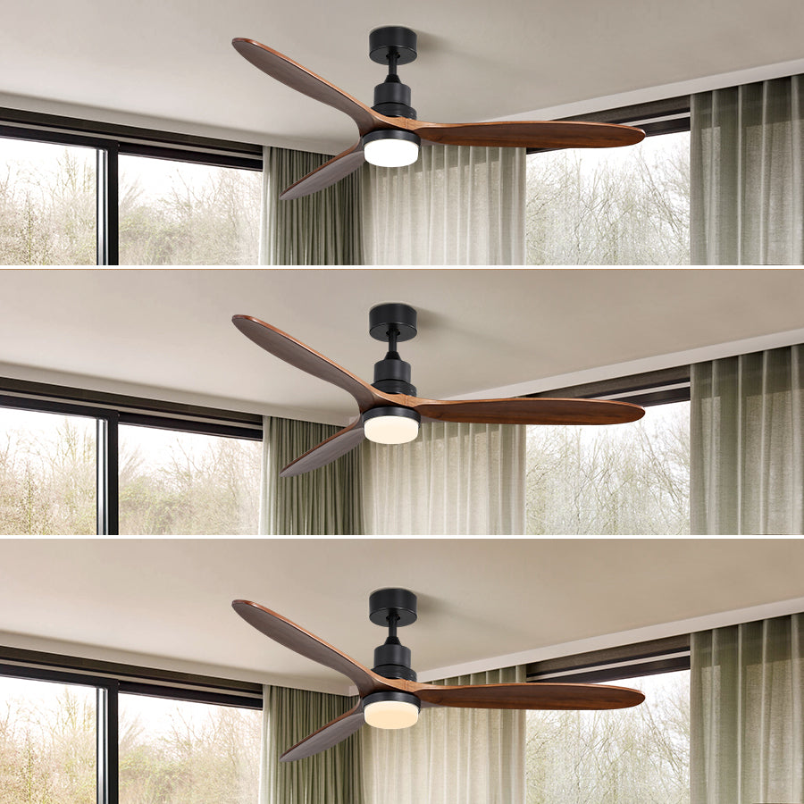 Modern Walnut 60-Inch Ceiling Fan with LED Lights and Remote Control
