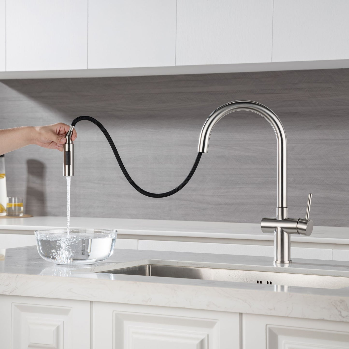 Rainlex Pull Down Kitchen Faucet