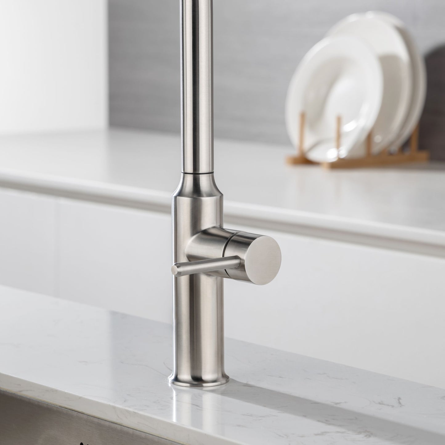 Rainlex Pull Down Kitchen Faucet