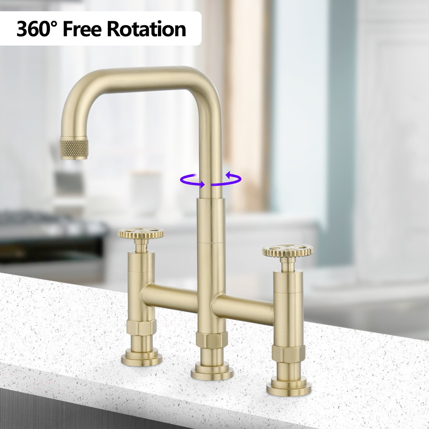 Double Handle Bridge Kitchen Faucet with Side Spray