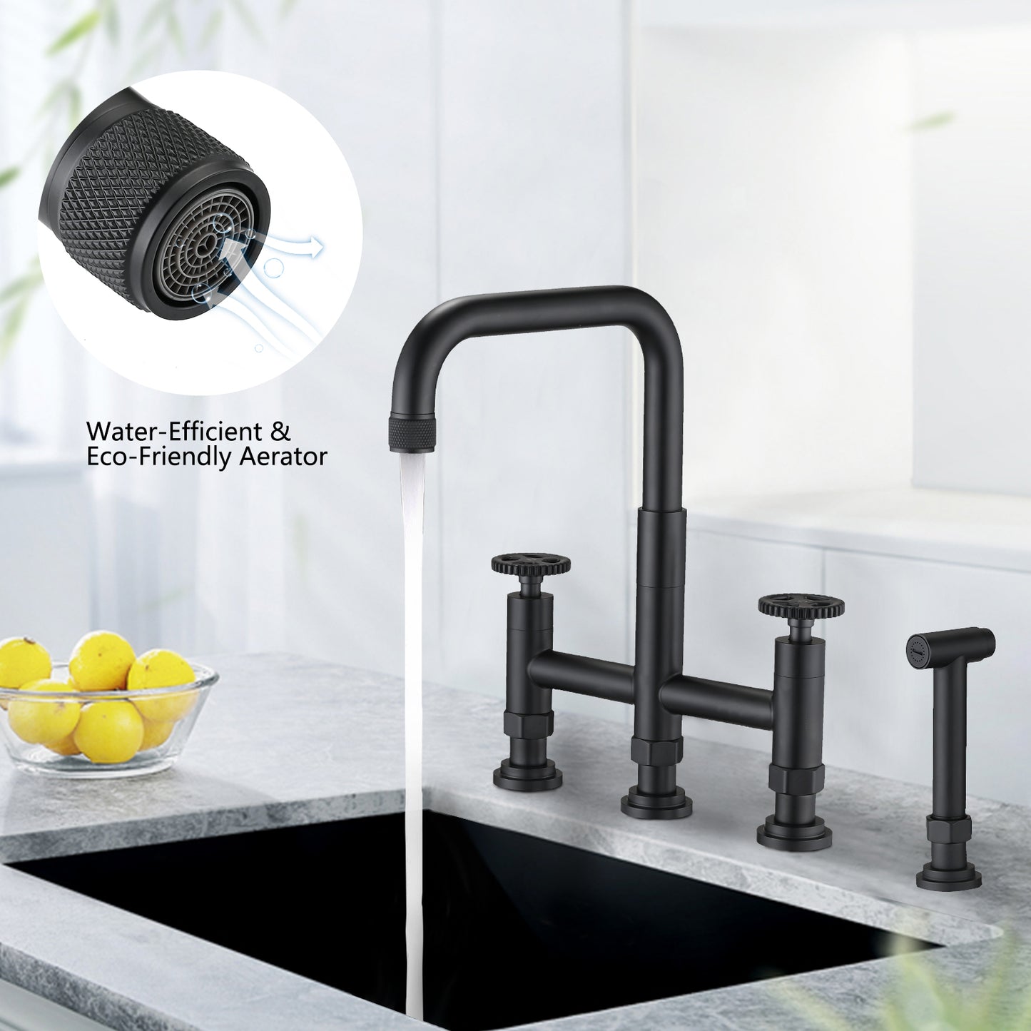 Double Handle Bridge Kitchen Faucet with Side Spray