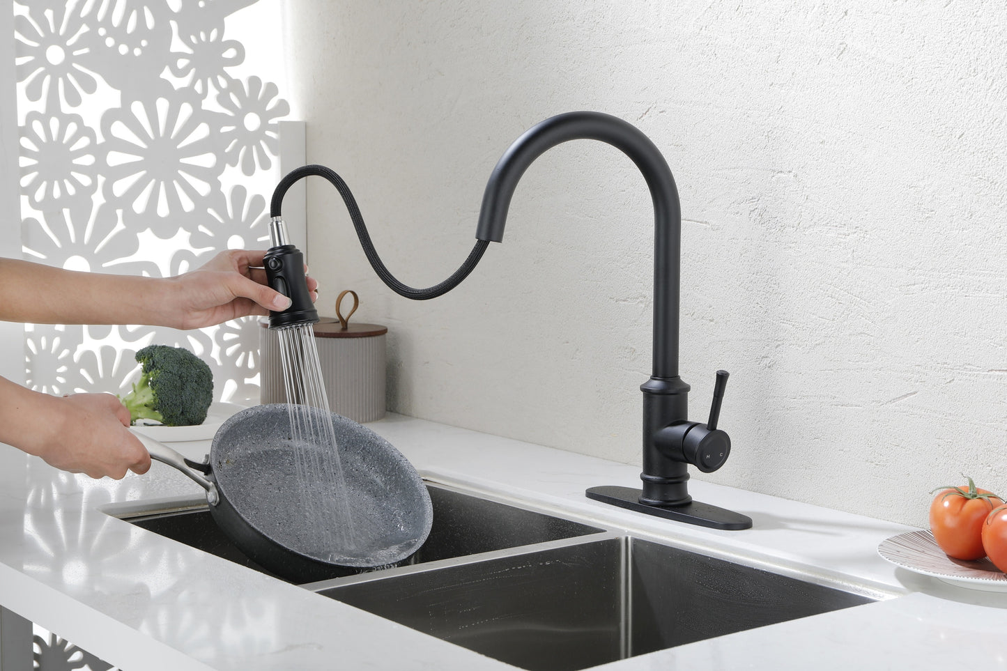 Kitchen Faucet with Pull Out Spraye