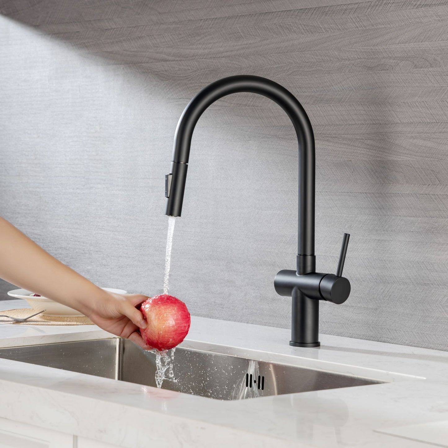 Rainlex Pull Down Kitchen Faucet