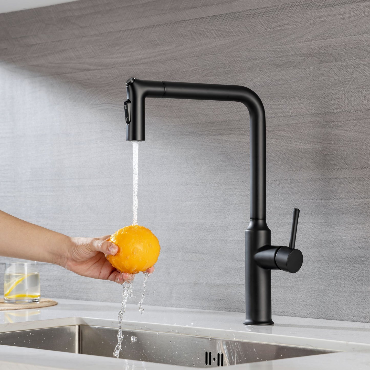 Rainlex Kitchen Faucet