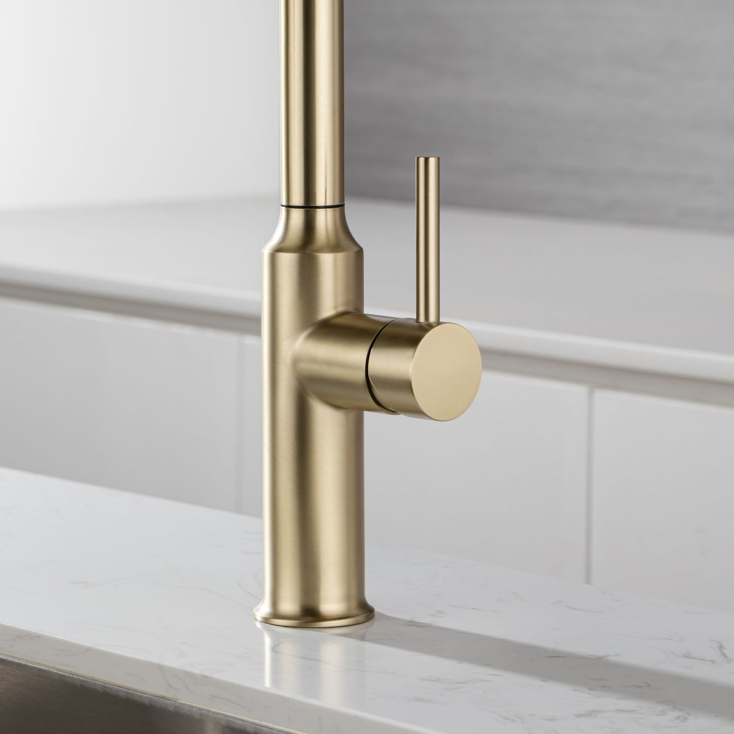 Rainlex Pull Down Kitchen Faucet