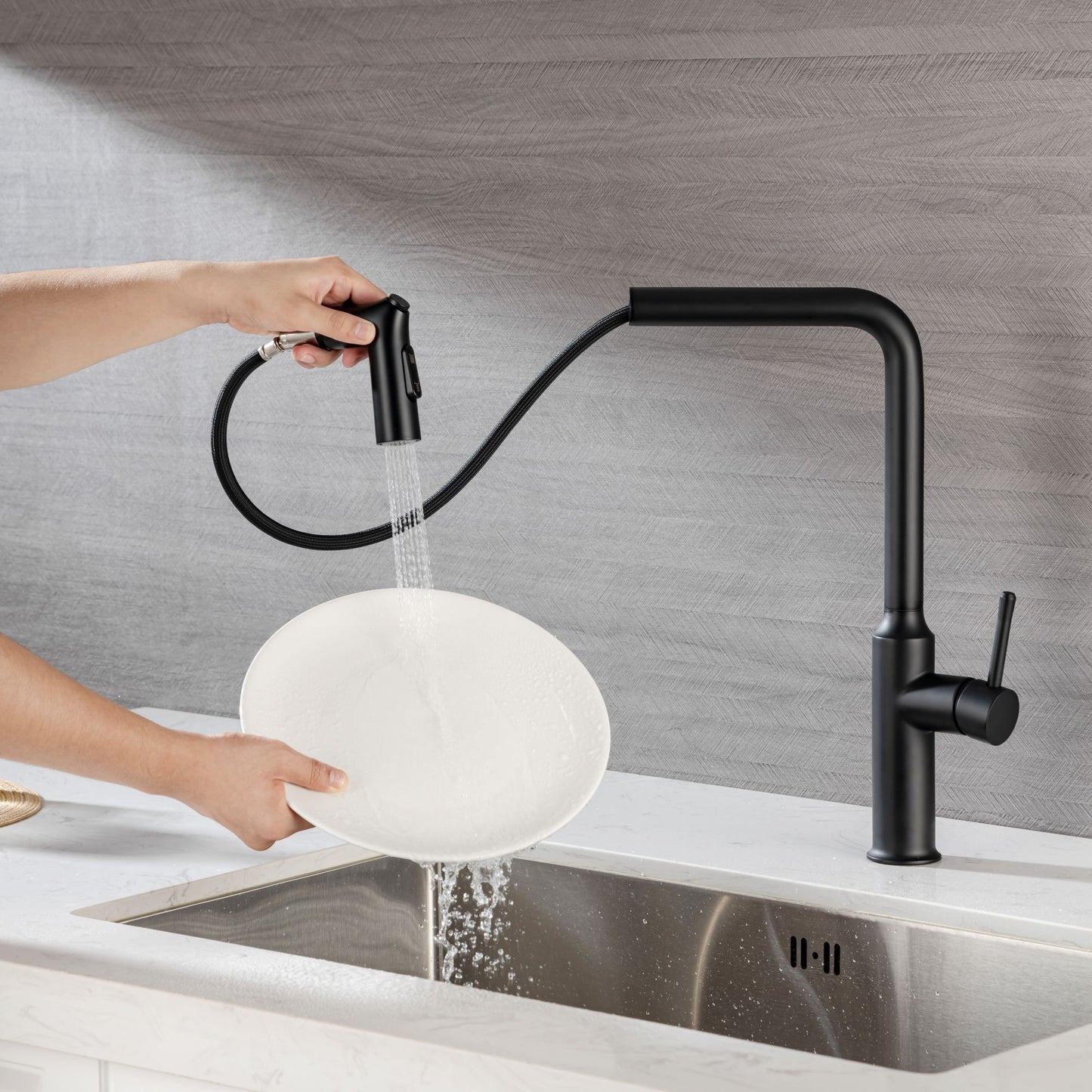 Rainlex Kitchen Faucet