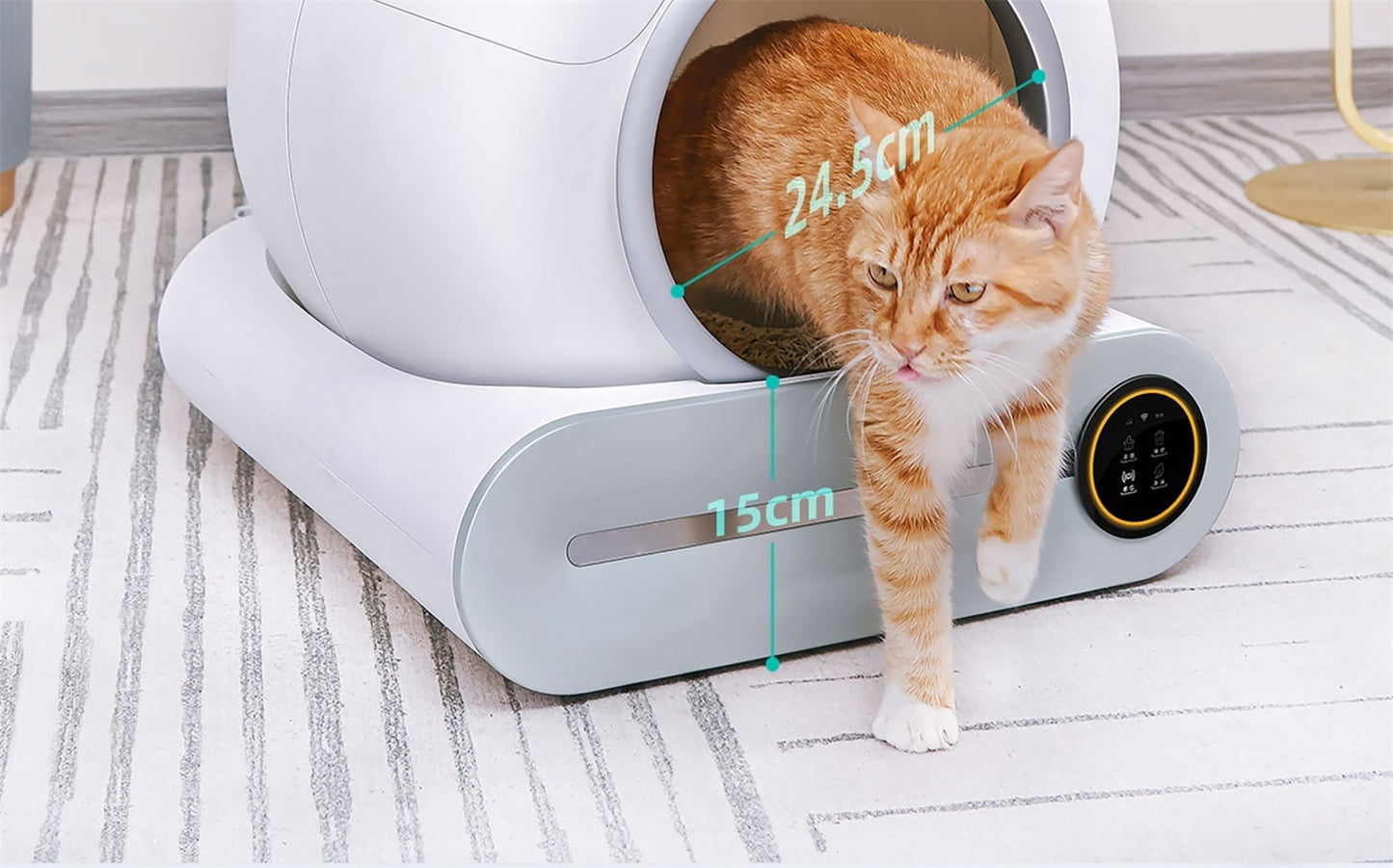 Smart Cat Litter Box Cat Litter Box Self-cleaning