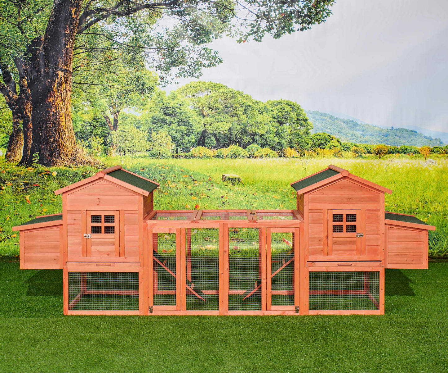 Chicken Coop Duplex with Outdoor Run