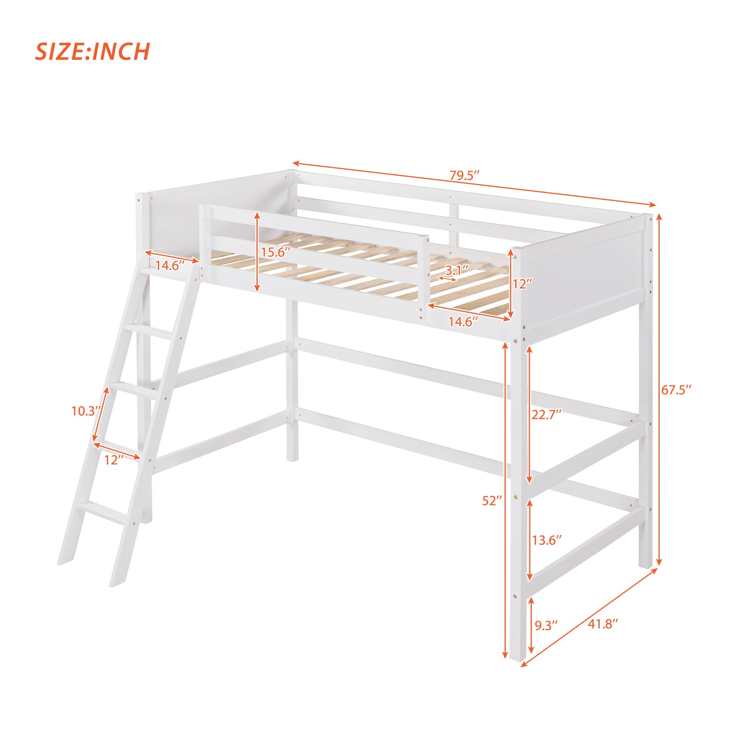 Solid Wood Twin Size Loft Bed with Ladder(White)(: WF191903AAK)