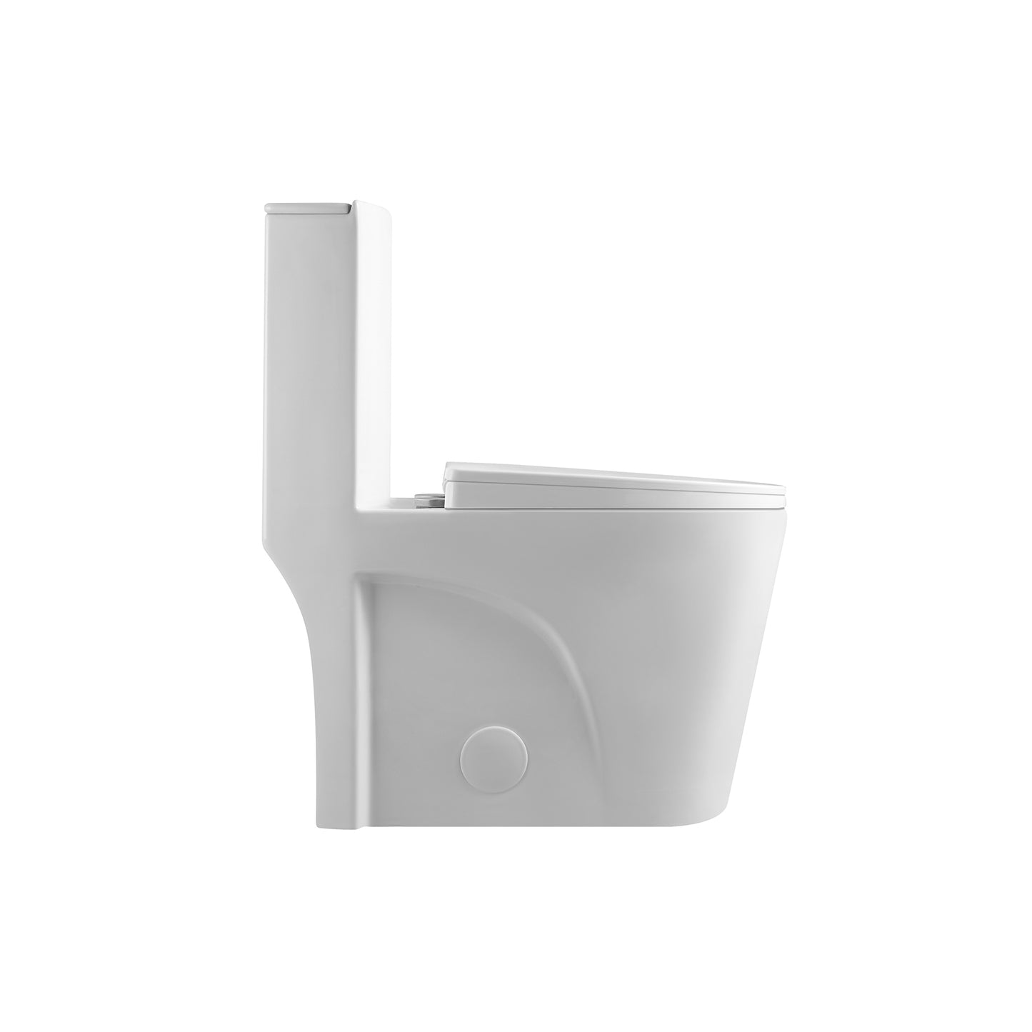 One-piece Dual Flush Elongated Toilet in White