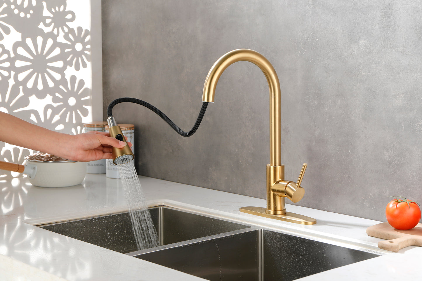 Kitchen Faucet with Pull Out Spraye