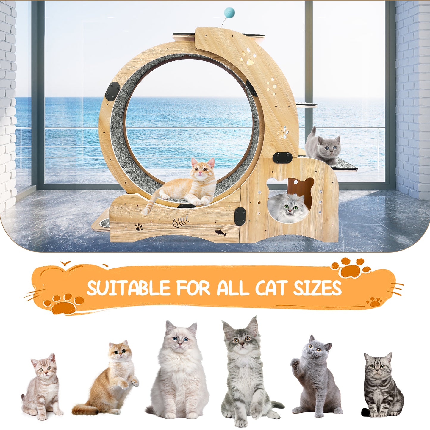 Cat Wheel 4-in-1 Cat Exercise Wheel,Upgraded Cat Wheel Exerciser for Indoor Cats,Large Cat Treadmill,Cat Running Wheel with Silent Wheel,Cat Walking Wheel Cat Furniture Cat Toys