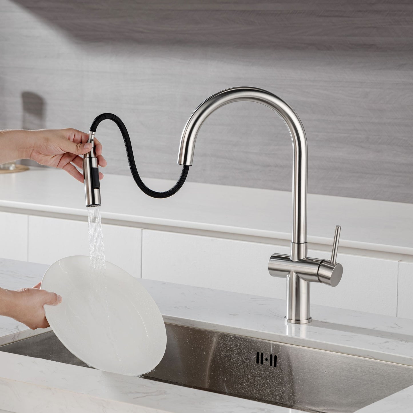 Rainlex Pull Down Kitchen Faucet