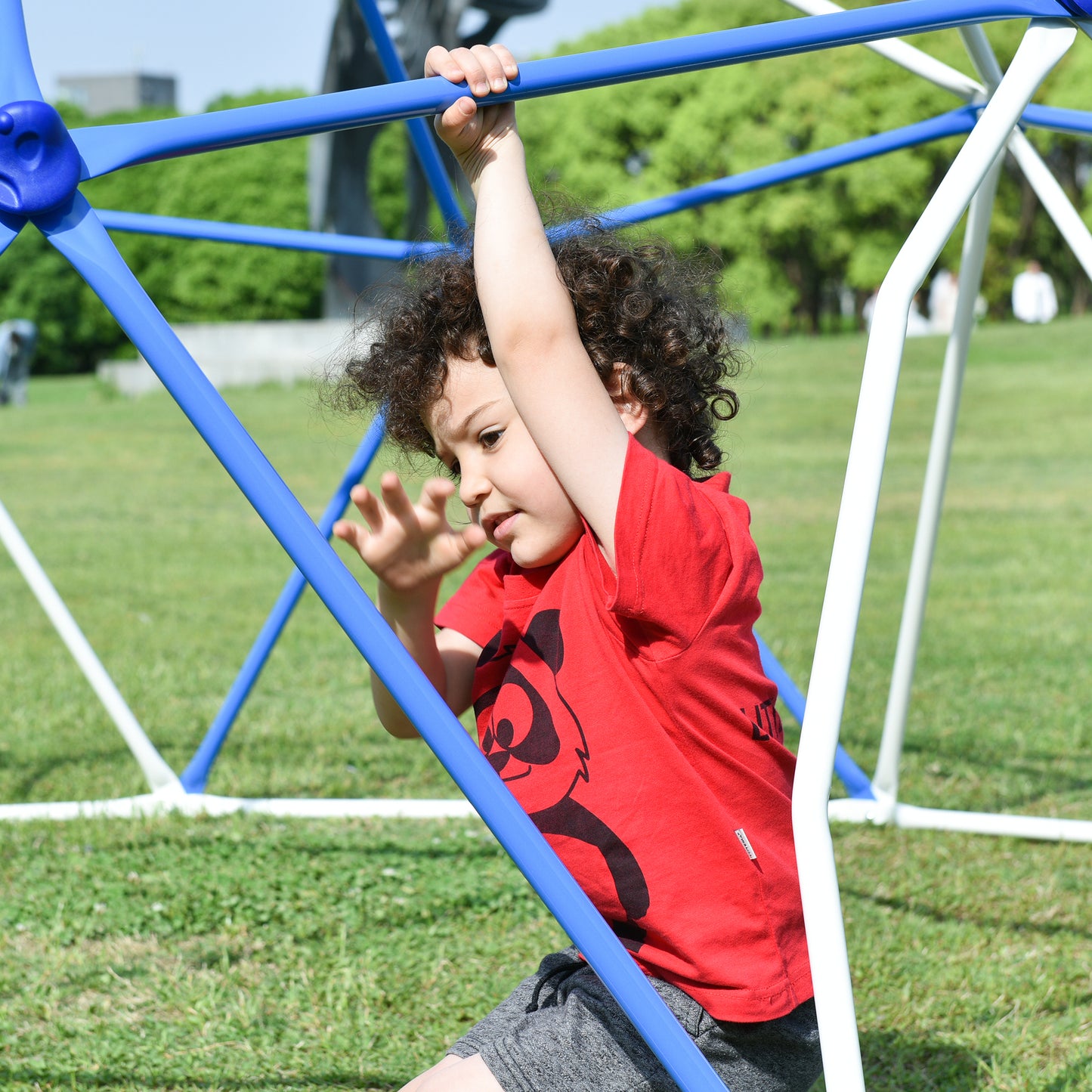 Geometric Dome Climber Play Center - 11ft, Rust & UV Resistant Steel, 900 LBS Capacity