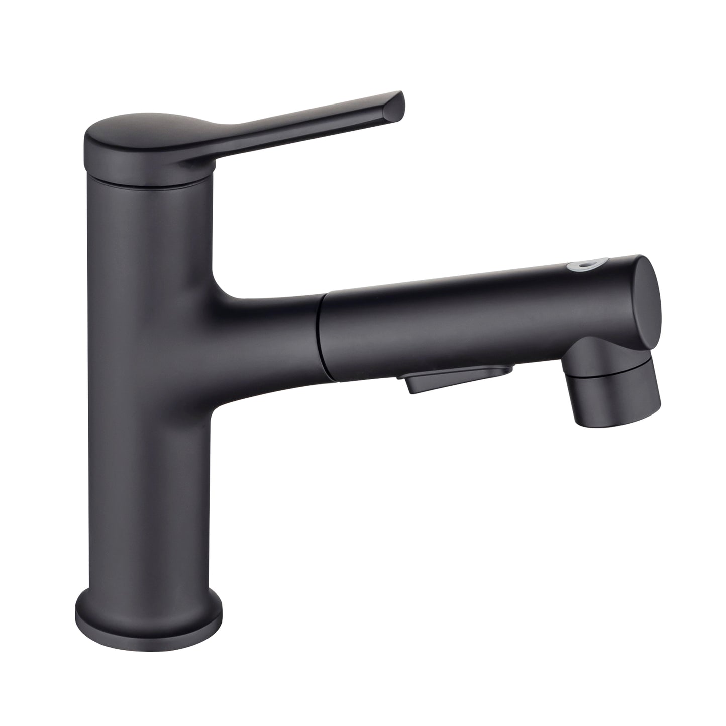 Single Hole Bathroom Faucet with Pull Out Sprayer and Dual Spray Modes