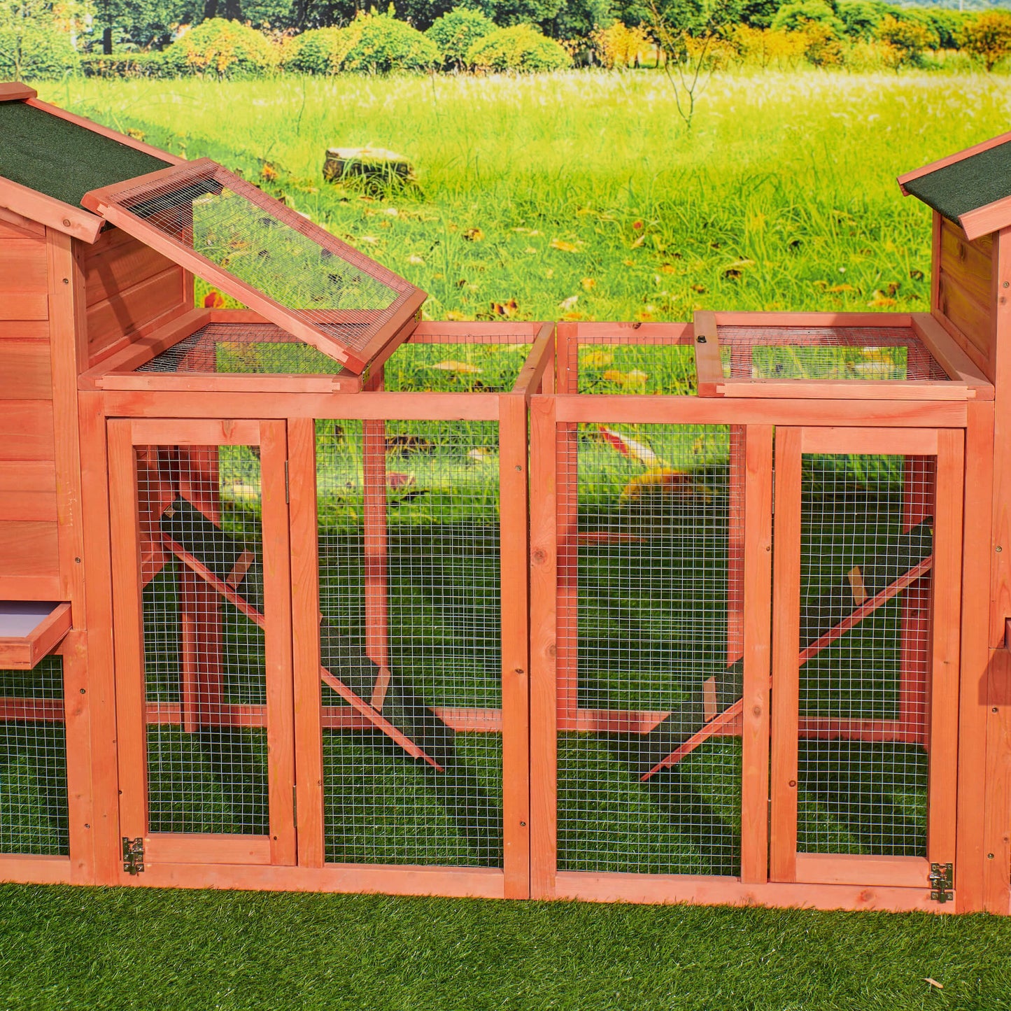 Chicken Coop Duplex with Outdoor Run