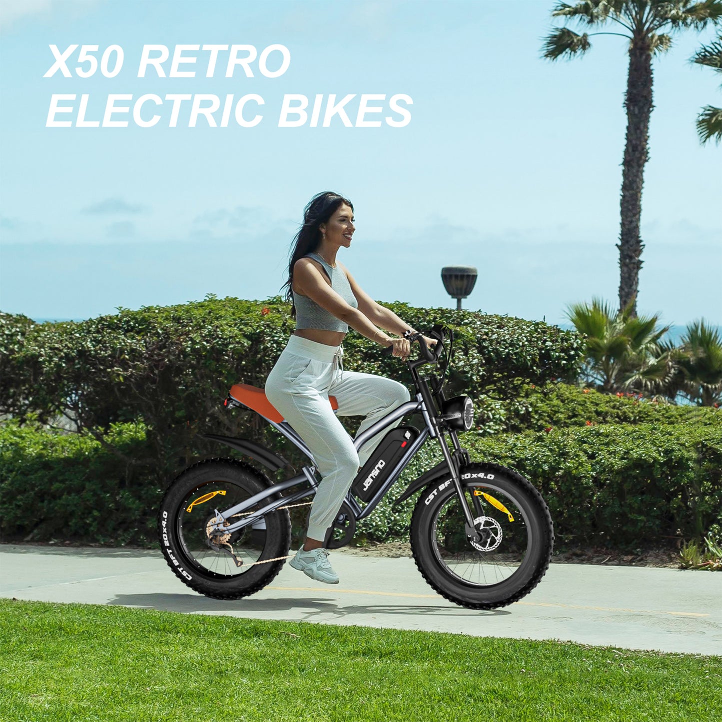 JANSNO Electric Bike 20" x 4.0 Electric Bike for Adults with 750W Brushless Motor, Long-Lasting 48V 14Ah Removable Battery, 7-Speed Transmission , 20 Inch Fat Tires ,spoked wheel,UL Certified .