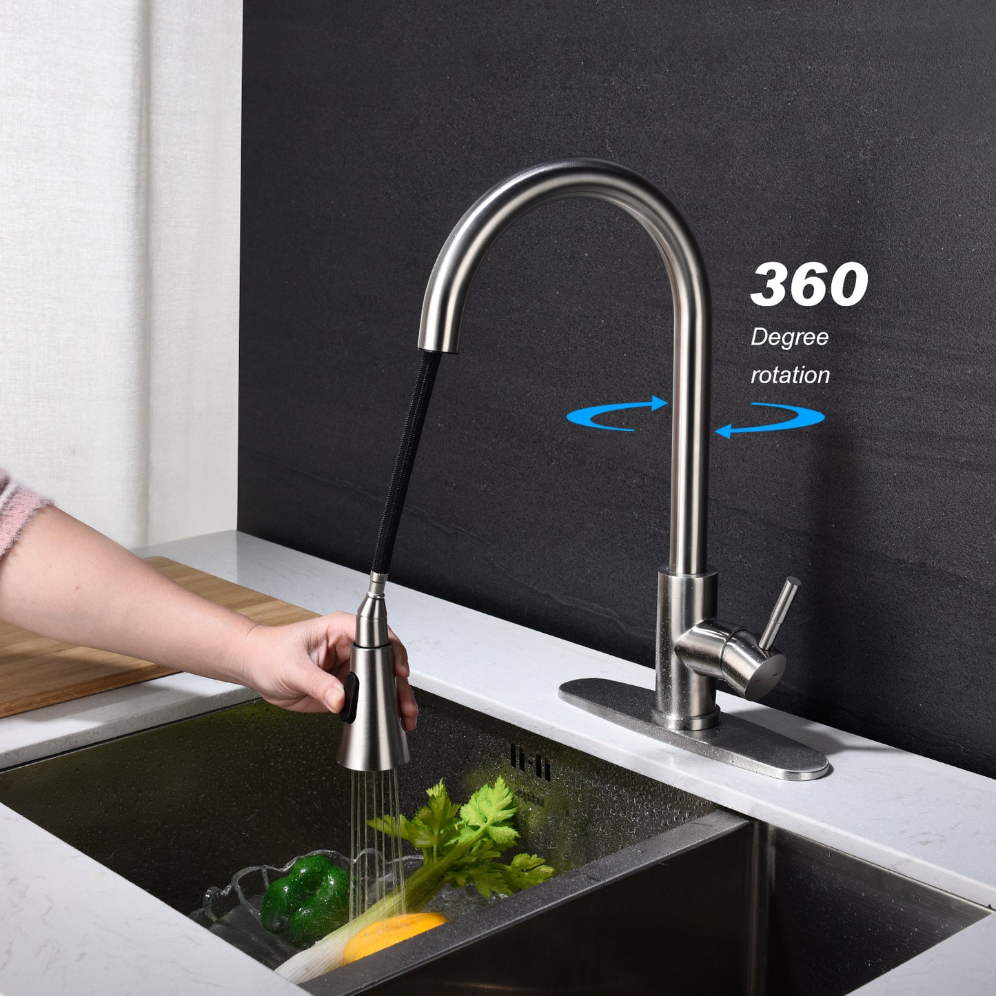 Kitchen Faucet with Pull Out Spraye