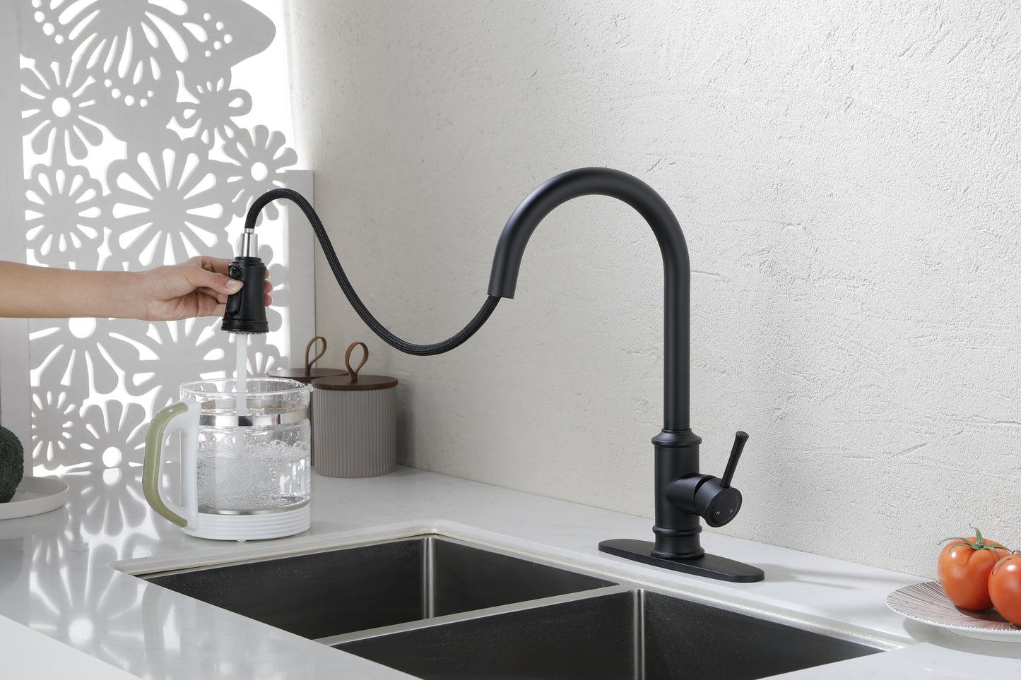 Kitchen Faucet with Pull Out Spraye