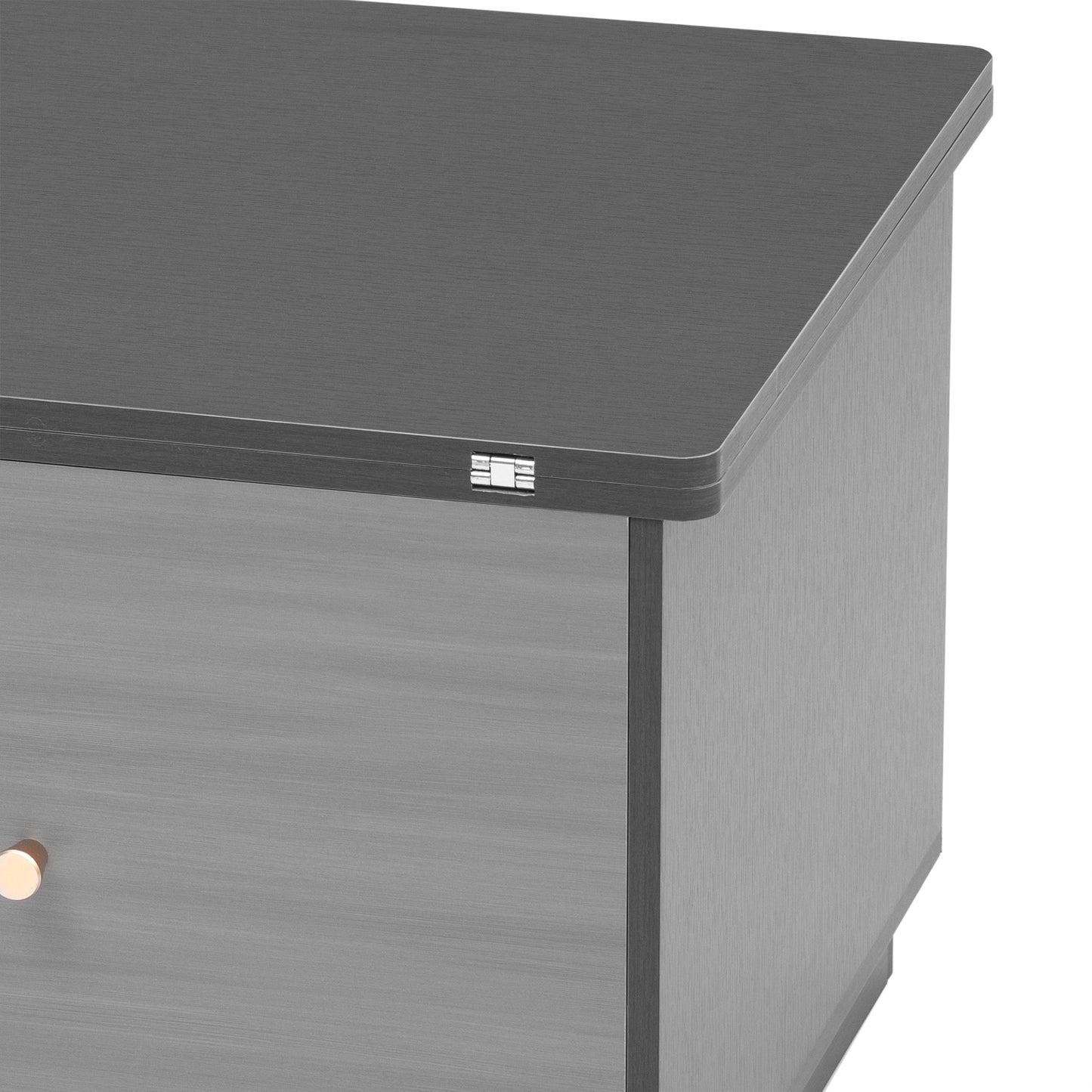 Extendable Lift-Top Coffee Table with Storage in Contemporary Gray