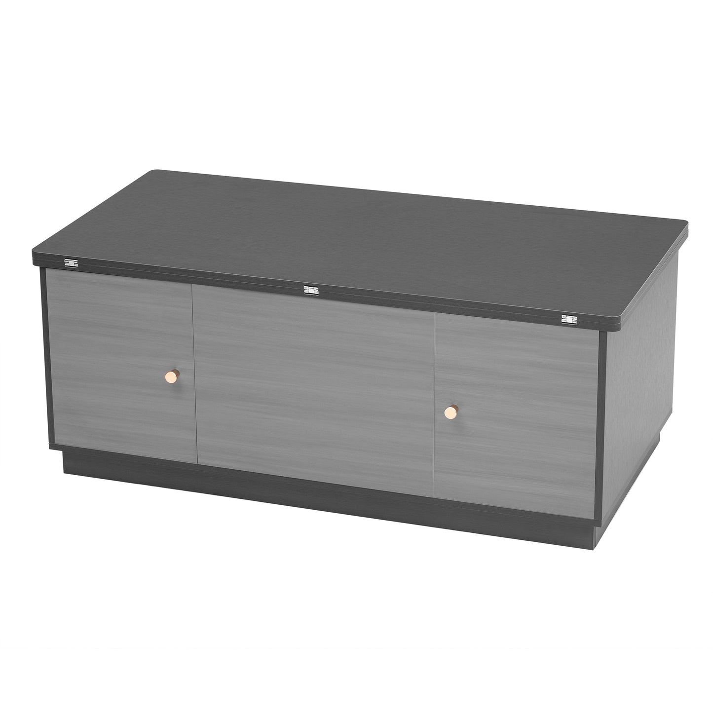 Extendable Lift-Top Coffee Table with Storage in Contemporary Gray