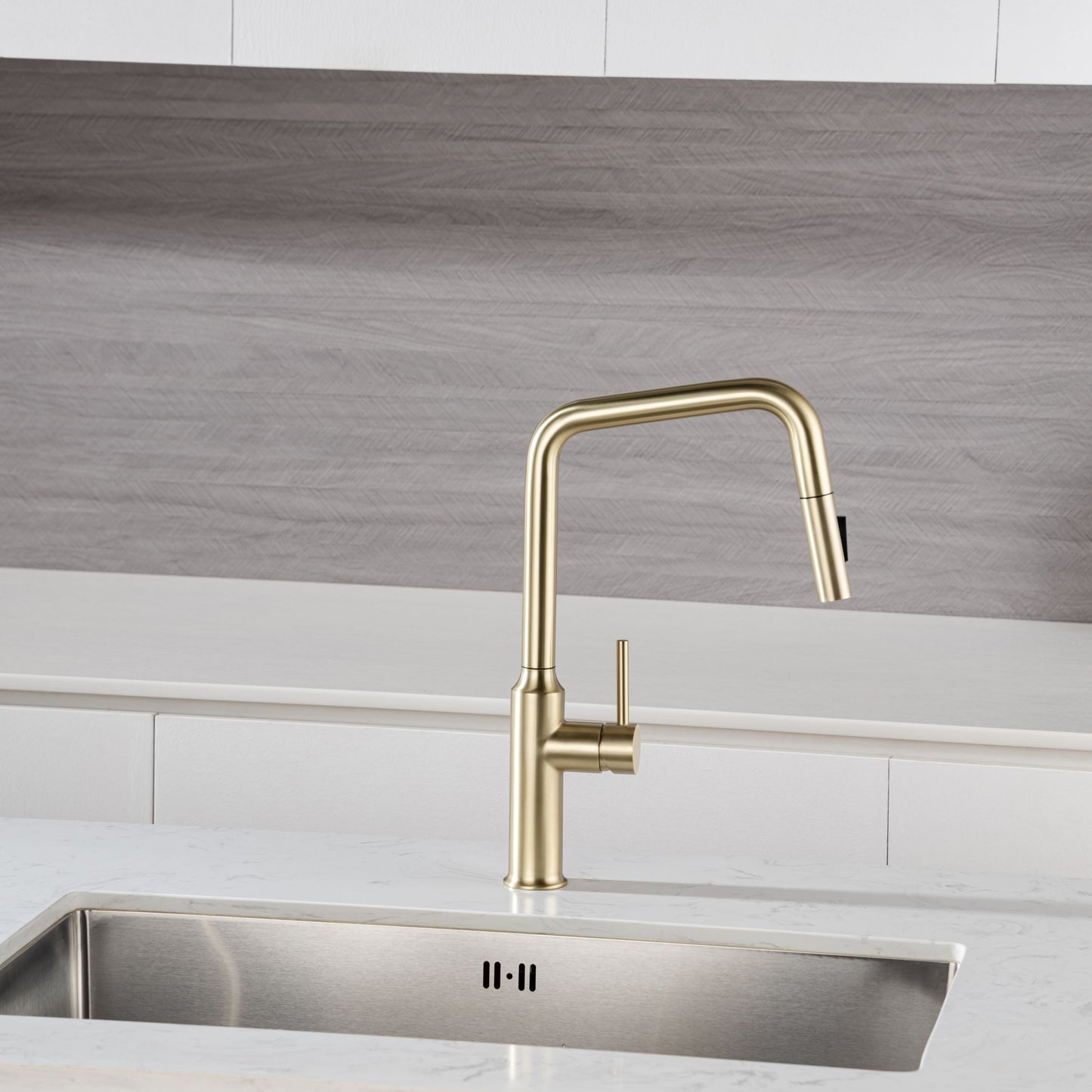 Rainlex Pull Down Kitchen Faucet