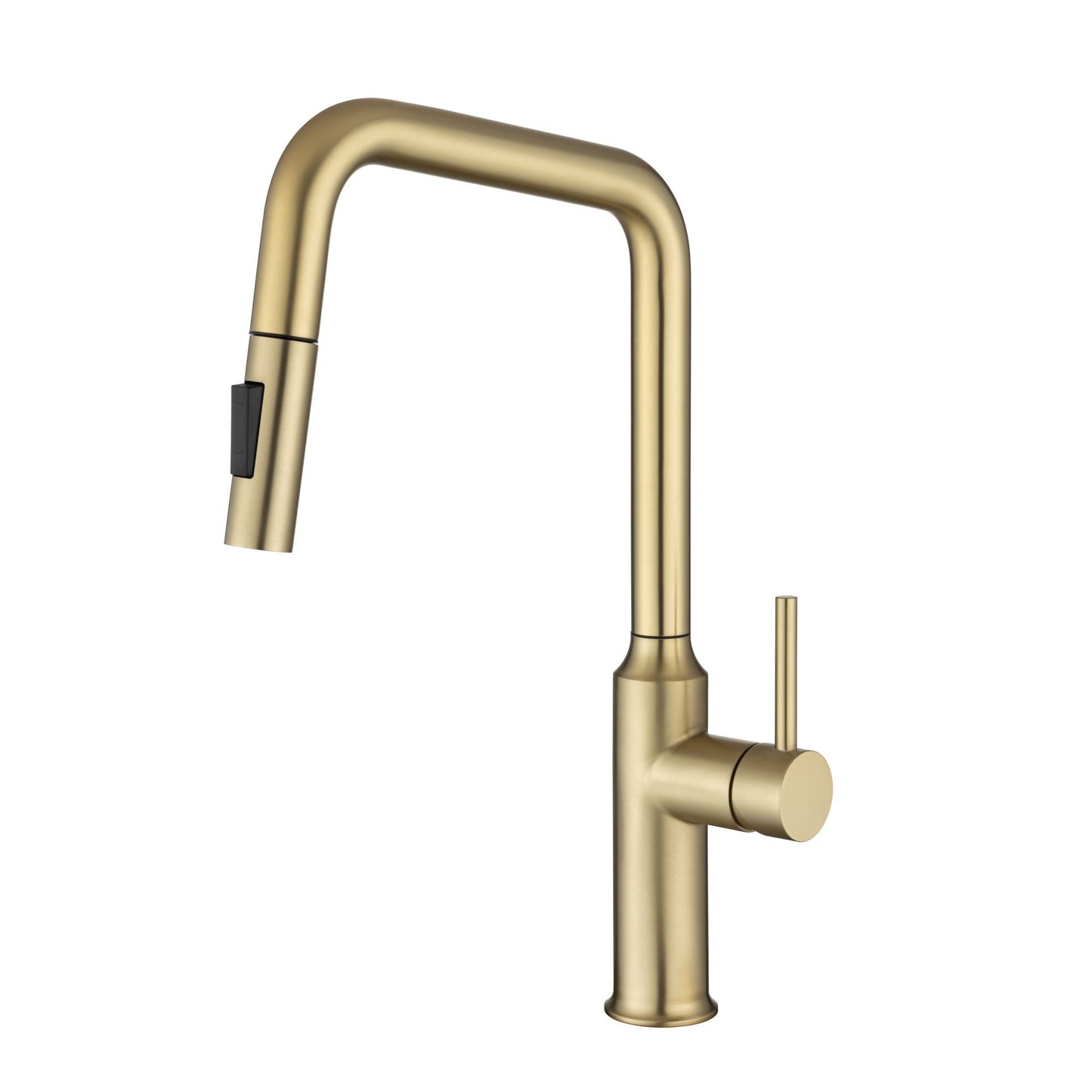 Rainlex Pull Down Kitchen Faucet