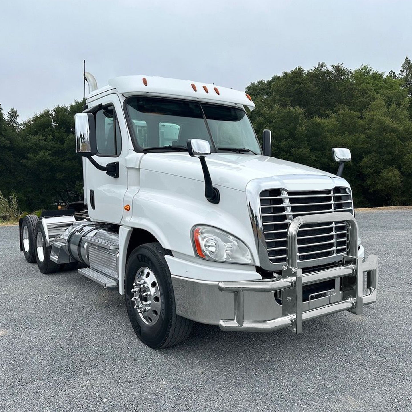 Deer Guard for Freightliner Cascadia 2008-2017 with Stainless Steel Brackets