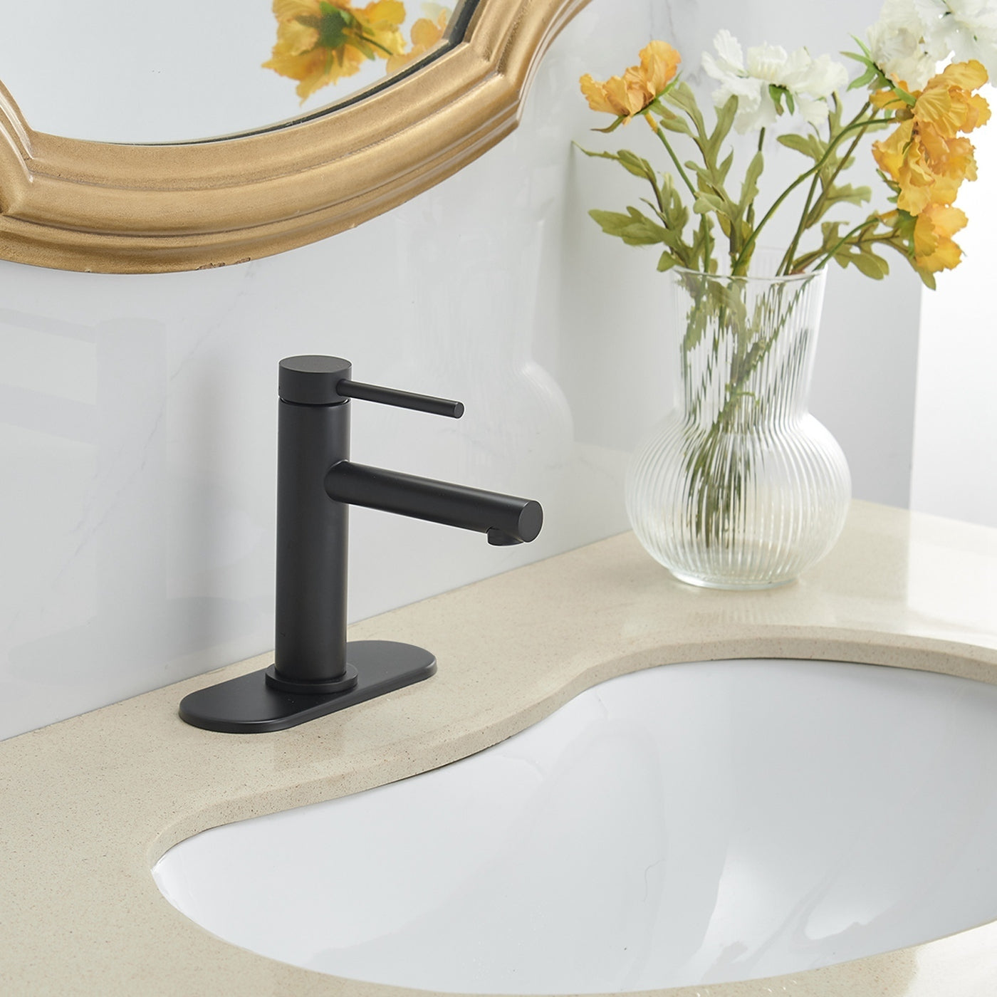 Matte Black Single-Handle Bathroom Faucet with Single Hole