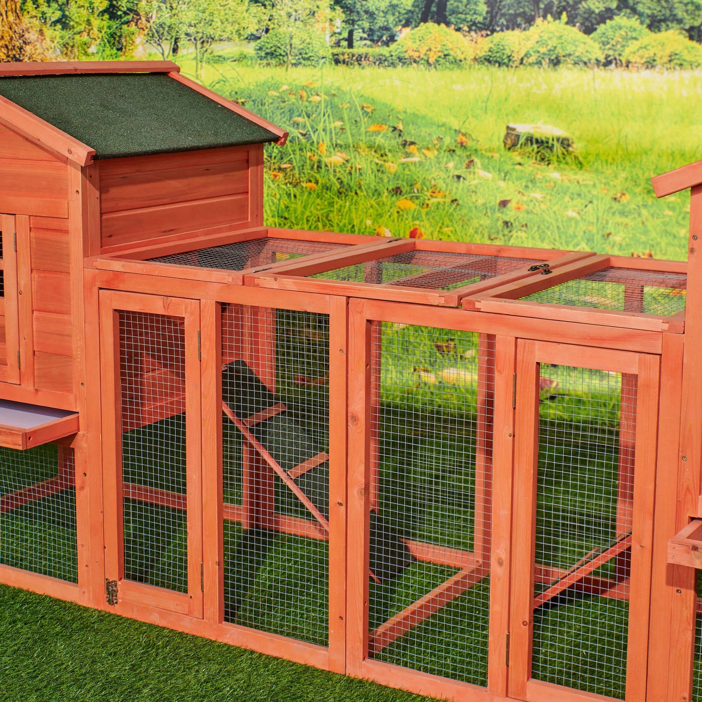 Chicken Coop Duplex with Outdoor Run