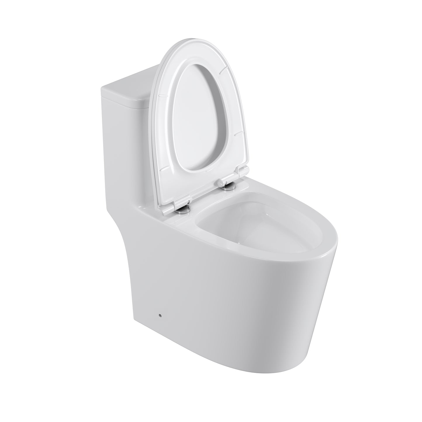 One Piece Dual Flush Elongated Toilet