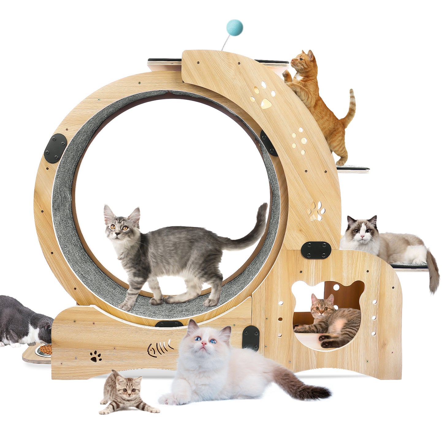 Cat Wheel 4-in-1 Cat Exercise Wheel,Upgraded Cat Wheel Exerciser for Indoor Cats,Large Cat Treadmill,Cat Running Wheel with Silent Wheel,Cat Walking Wheel Cat Furniture Cat Toys