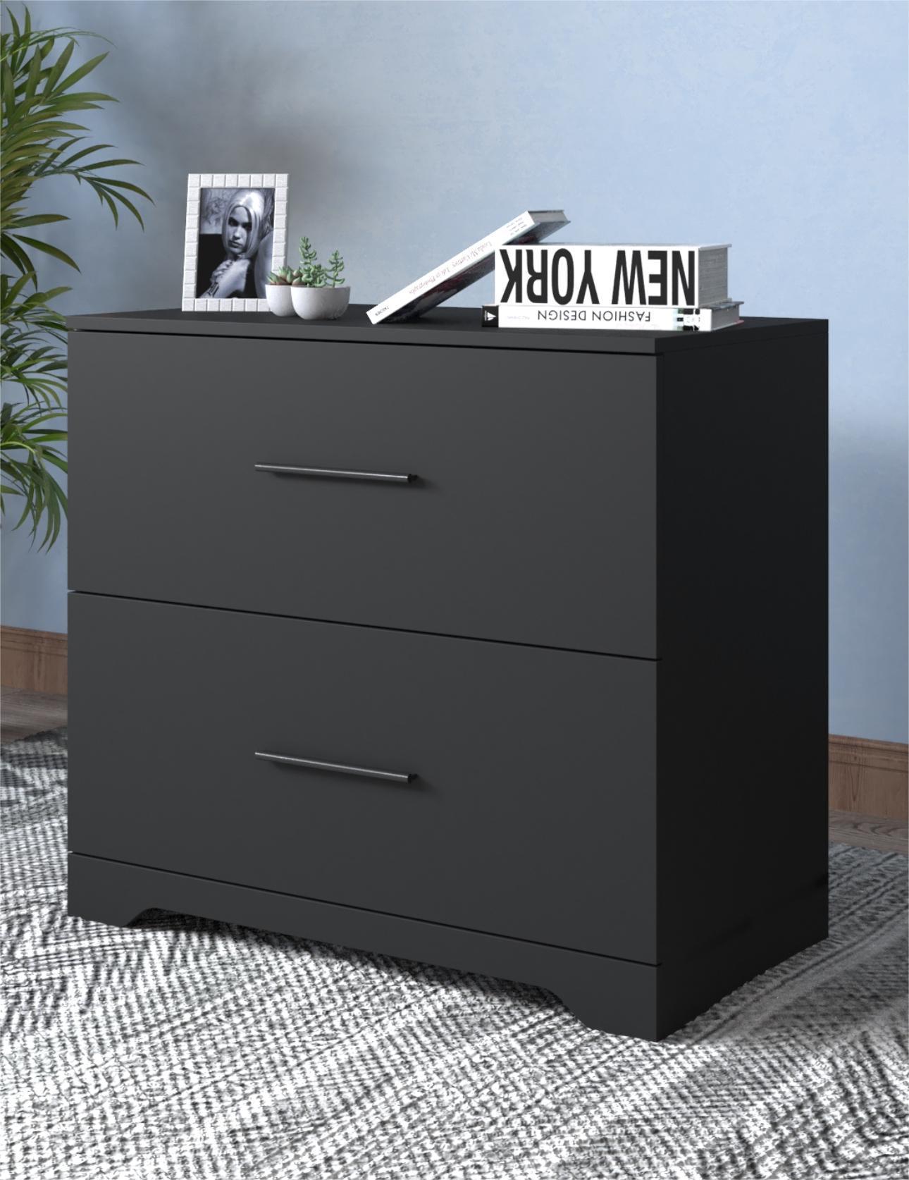 2 -Drawer Lateral Filing Cabinet,Storage Filing Cabinet for Home Office, Black