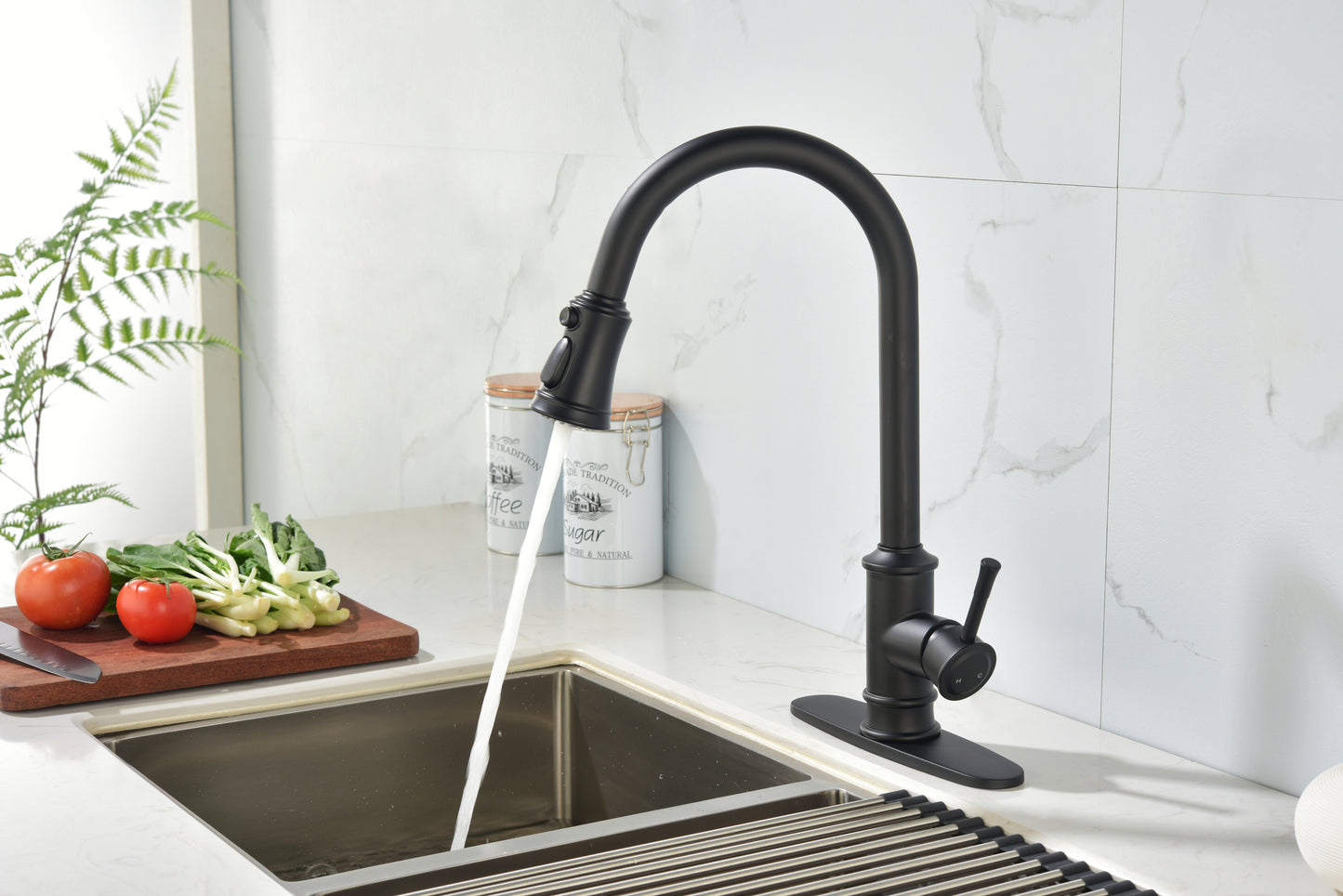 Kitchen Faucet with Pull Out Spraye