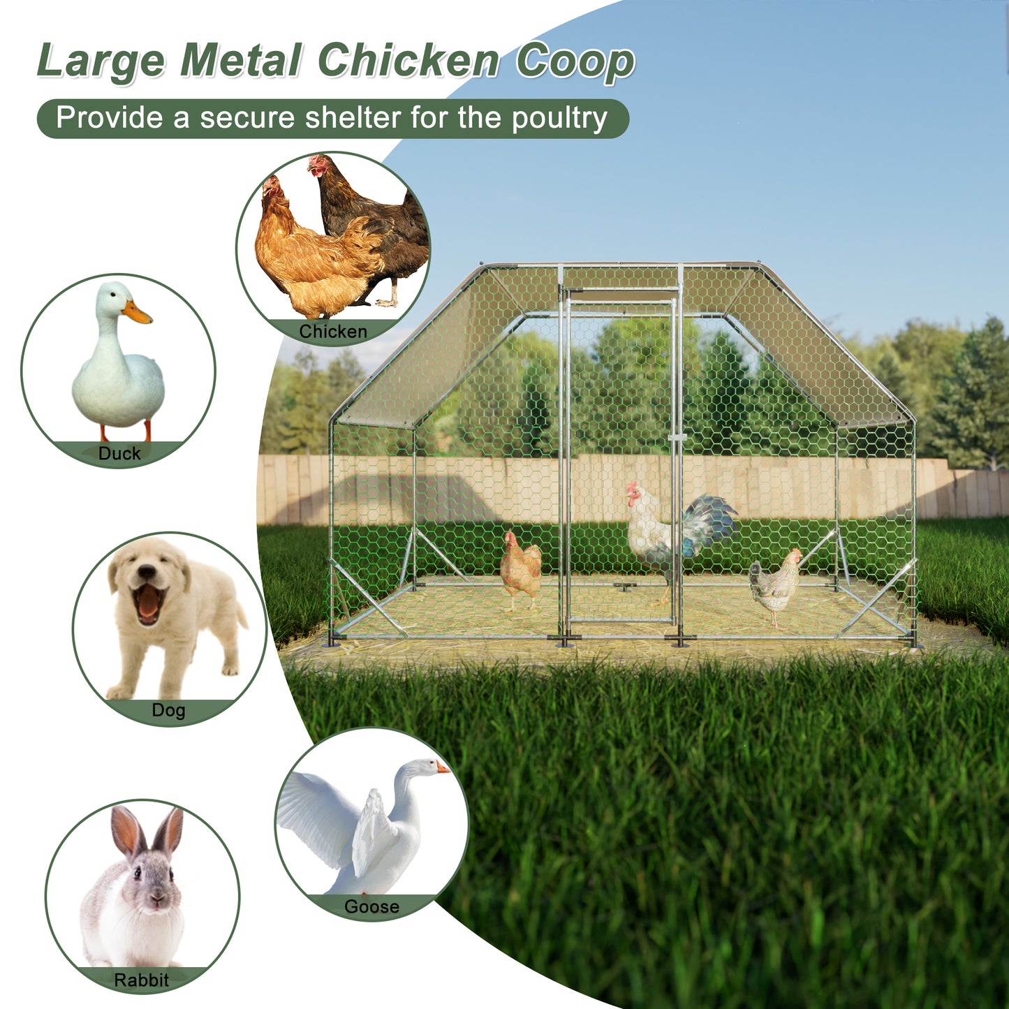 Metal Large Chicken Coop Walk-in Poultry Cage Run Flat Shaped with Waterproof  9.94'L x 6.46'W x 6.36'ft