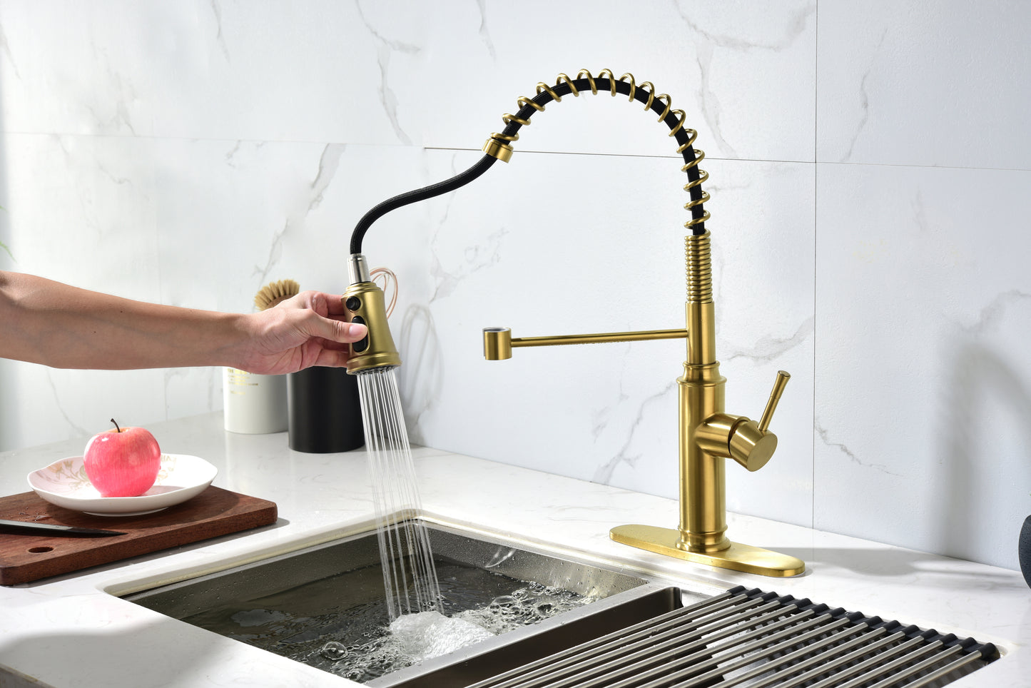 Kitchen Faucet with Pull Down Sprayer