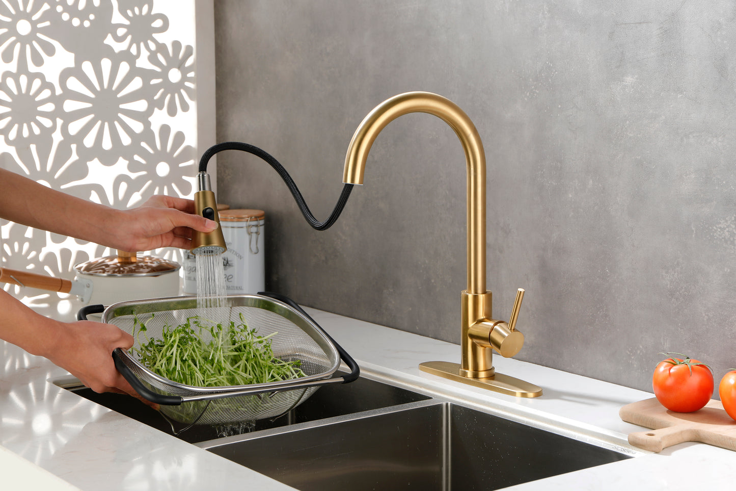 Kitchen Faucet with Pull Out Spraye