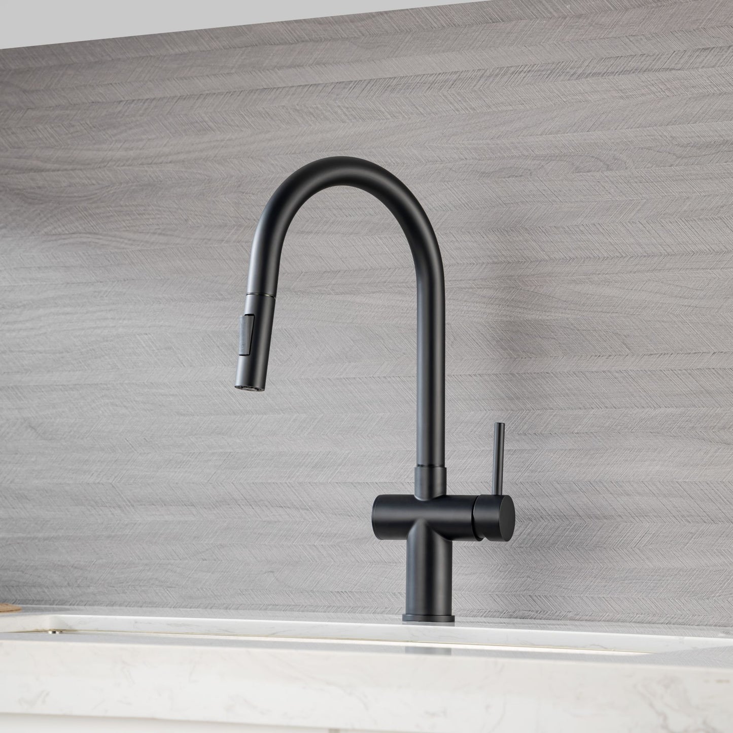 Rainlex Pull Down Kitchen Faucet